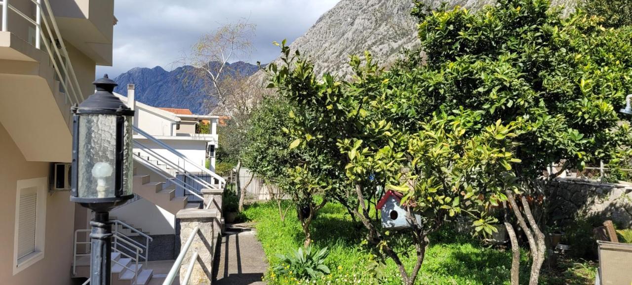 Majka Apartments Kotor Bagian luar foto